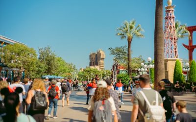 Cheap Flights from Chicago to Orlando: ORD to MCO Fare Data and Booking Strategy