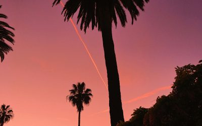 Cheap Flights from Chicago to San Diego: ORD to SAN Fare Data and Booking Tactics