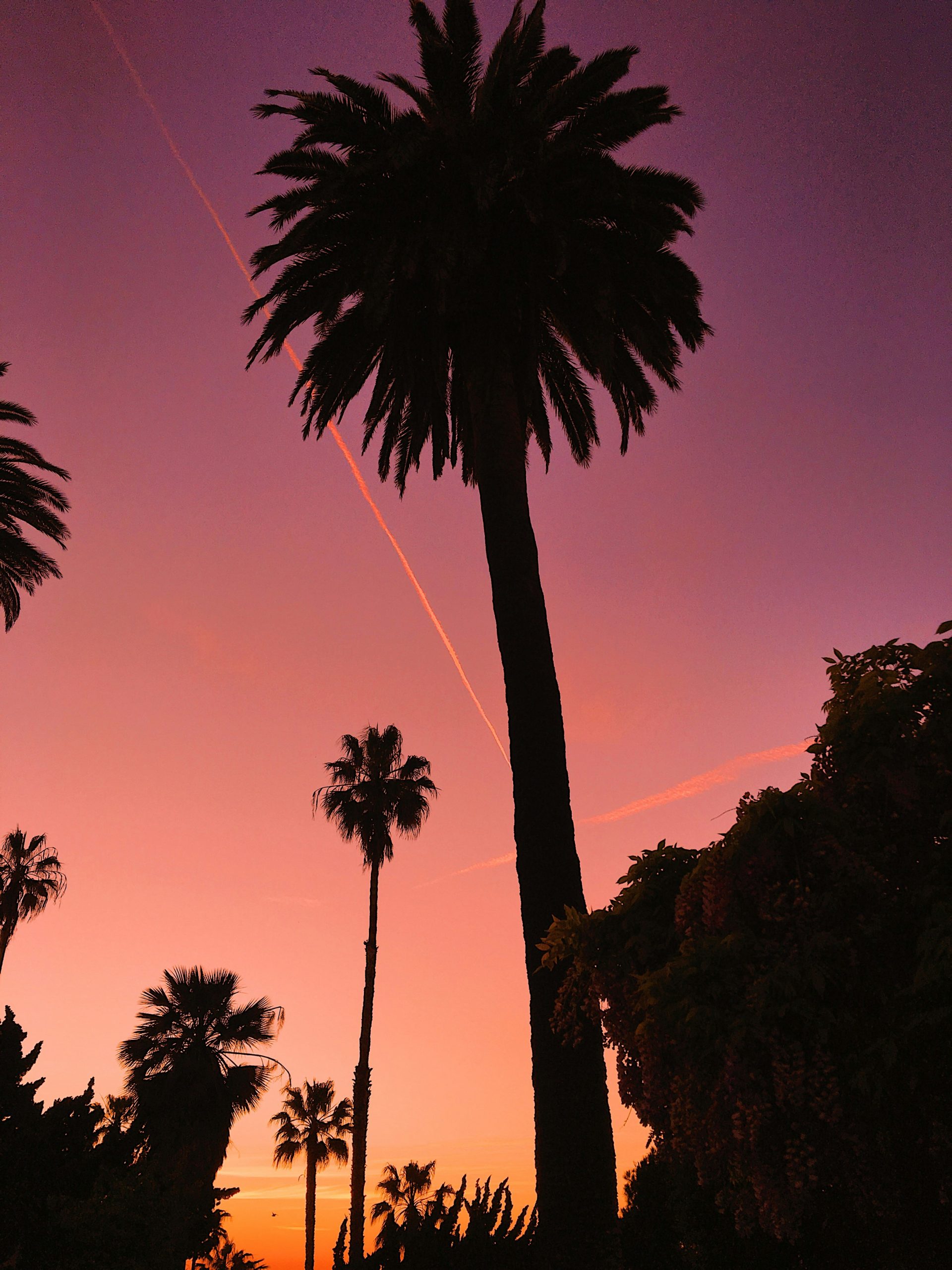 willow-heisler-xUR-6-BmFn0-unsplash