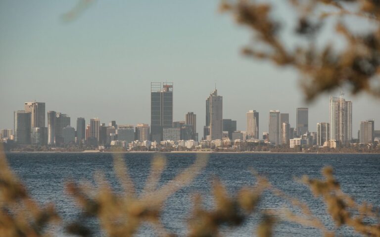 View of Perth skyline across water framed by foliage with a calm atmosphere at dusk