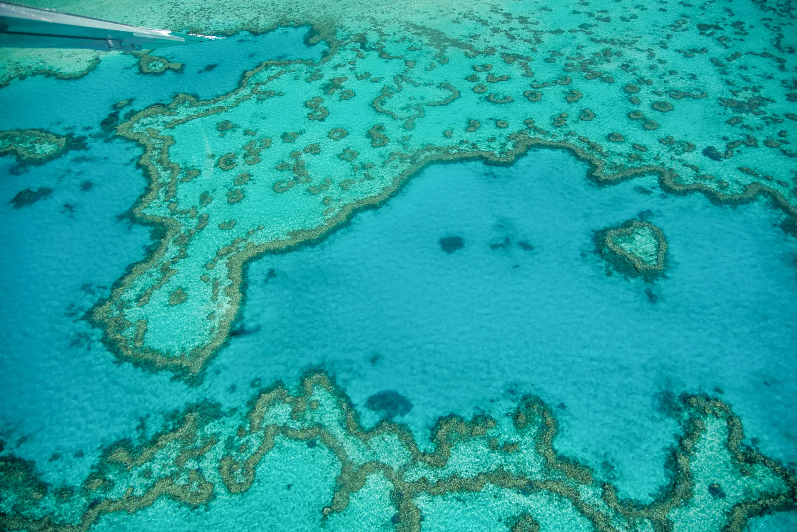 Aerial view of the Great Barrier Reef in Queensland, Australia