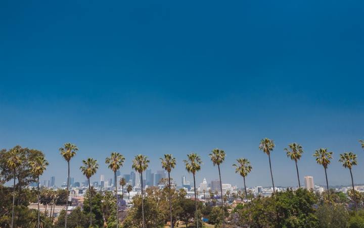 Los Angeles skyline framed by palm trees