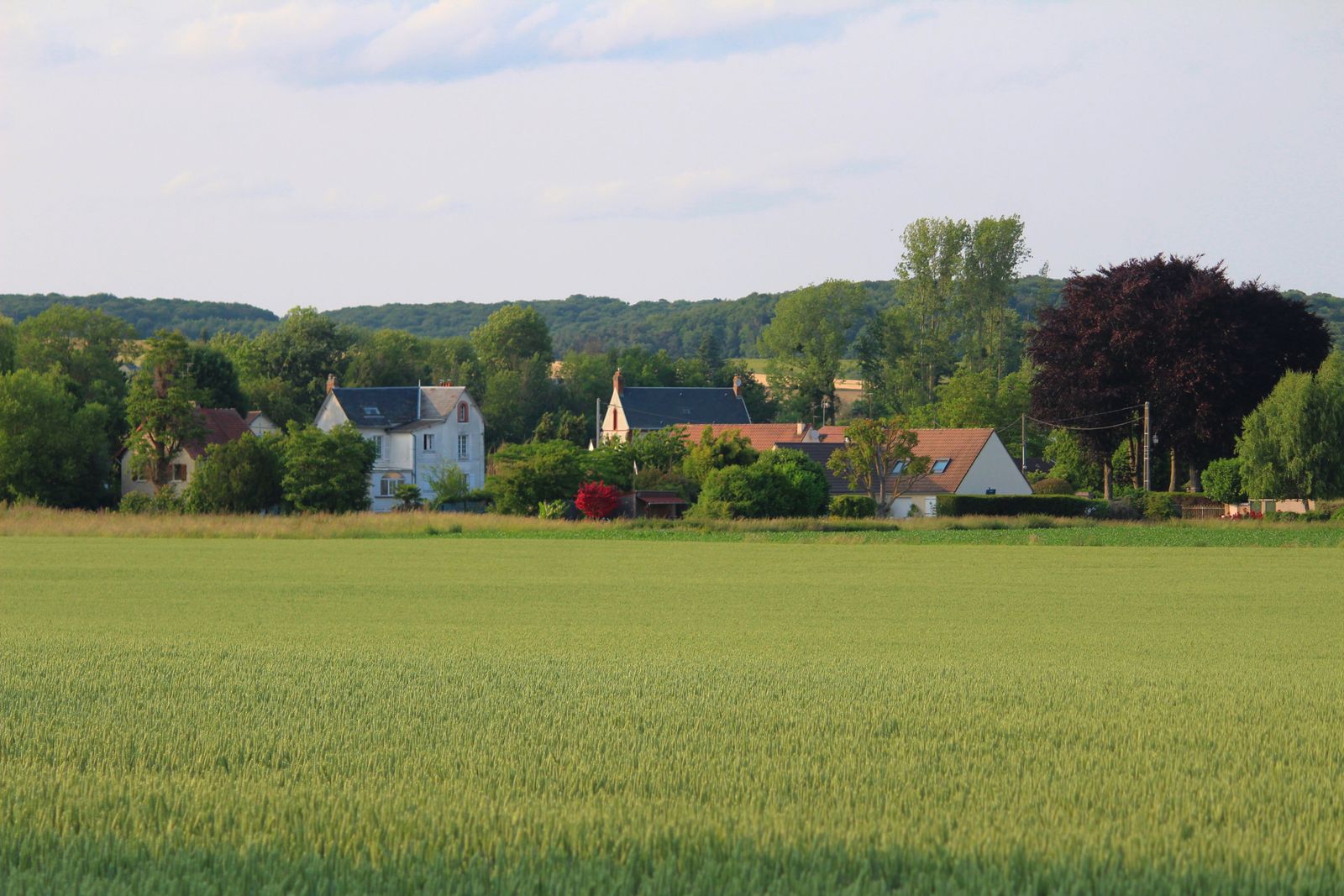 French countryside
