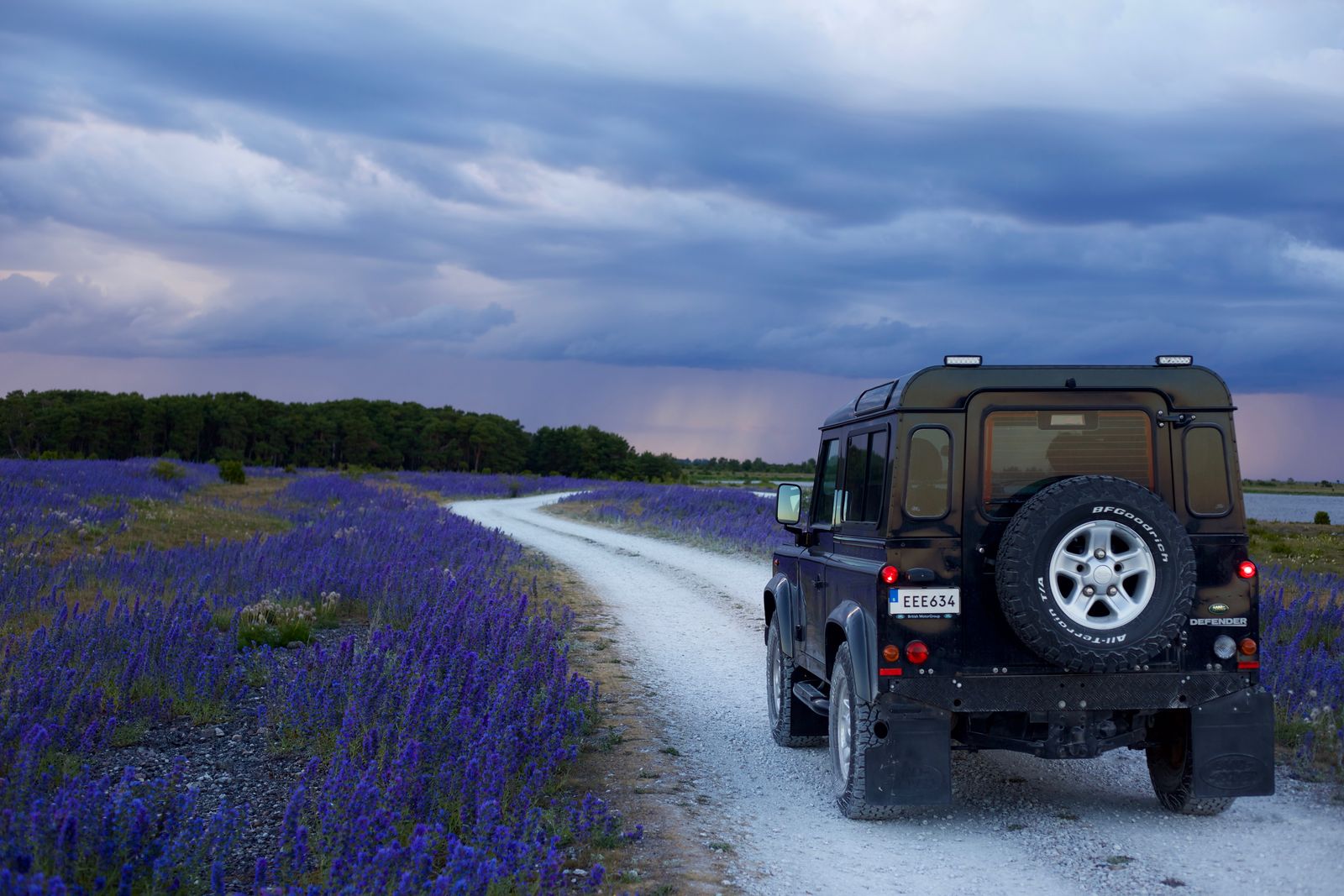 Car on a scenic road