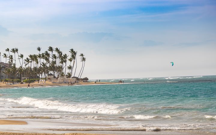 Palm-lined beach in Punta Cana, Dominican Republic